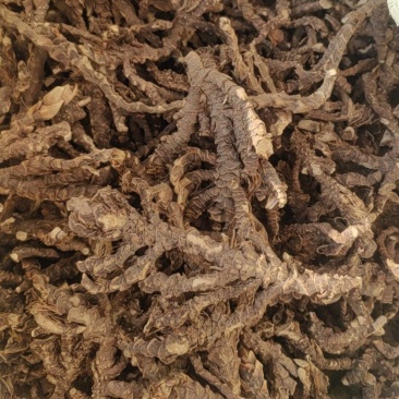 宽叶红心大根条石菖蒲饮片货药厂货产地一手货源小叶石菖蒲