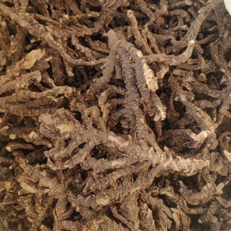 宽叶红心大根条石菖蒲饮片货药厂货产地一手货源小叶石菖蒲