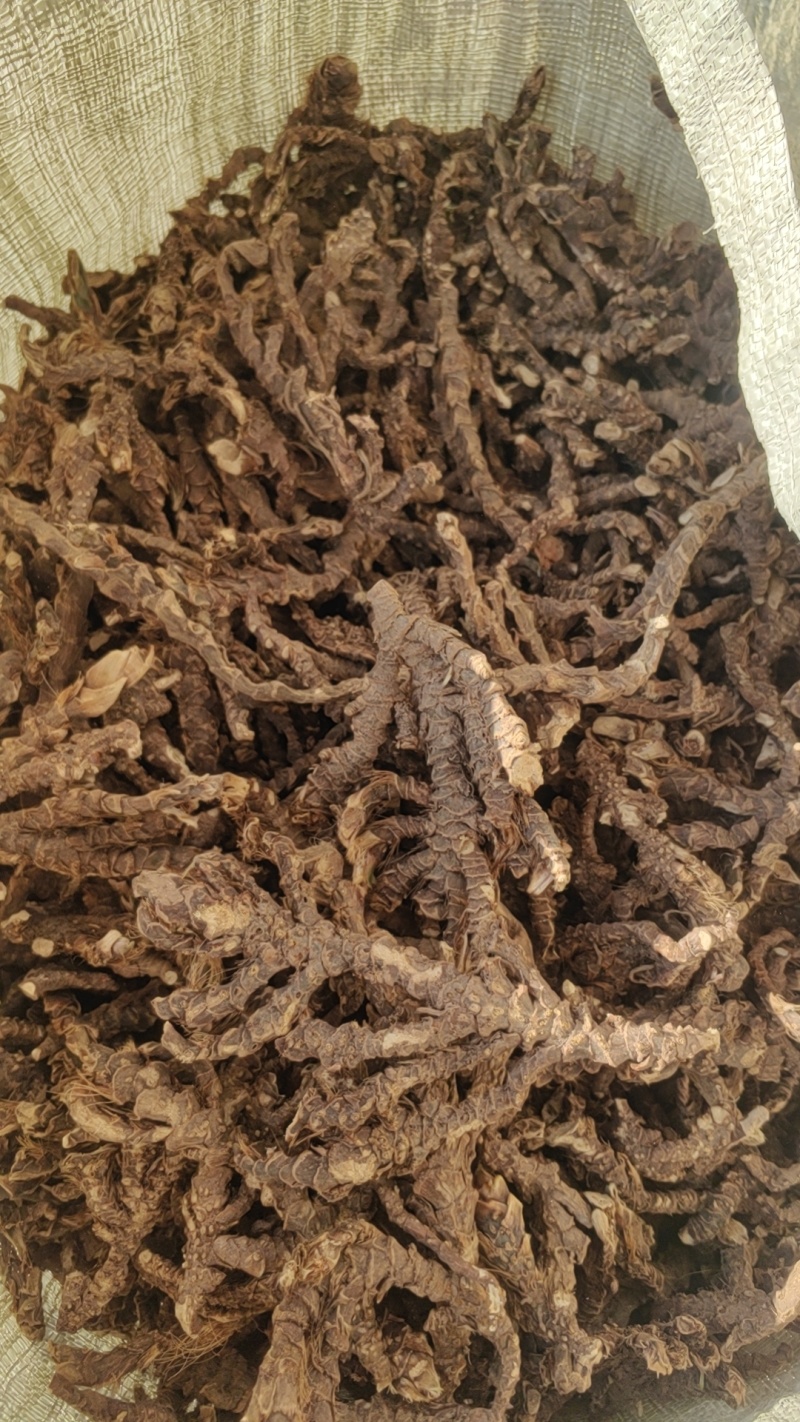 宽叶红心大根条石菖蒲饮片货药厂货产地一手货源小叶石菖蒲