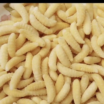 冻蜂蛹