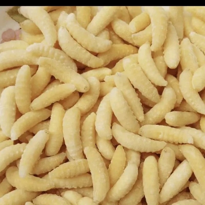 冻蜂蛹