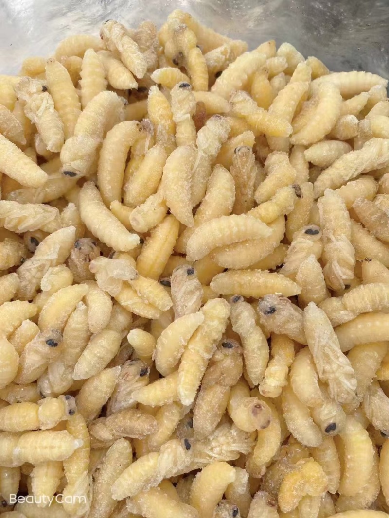 冻蜂蛹
