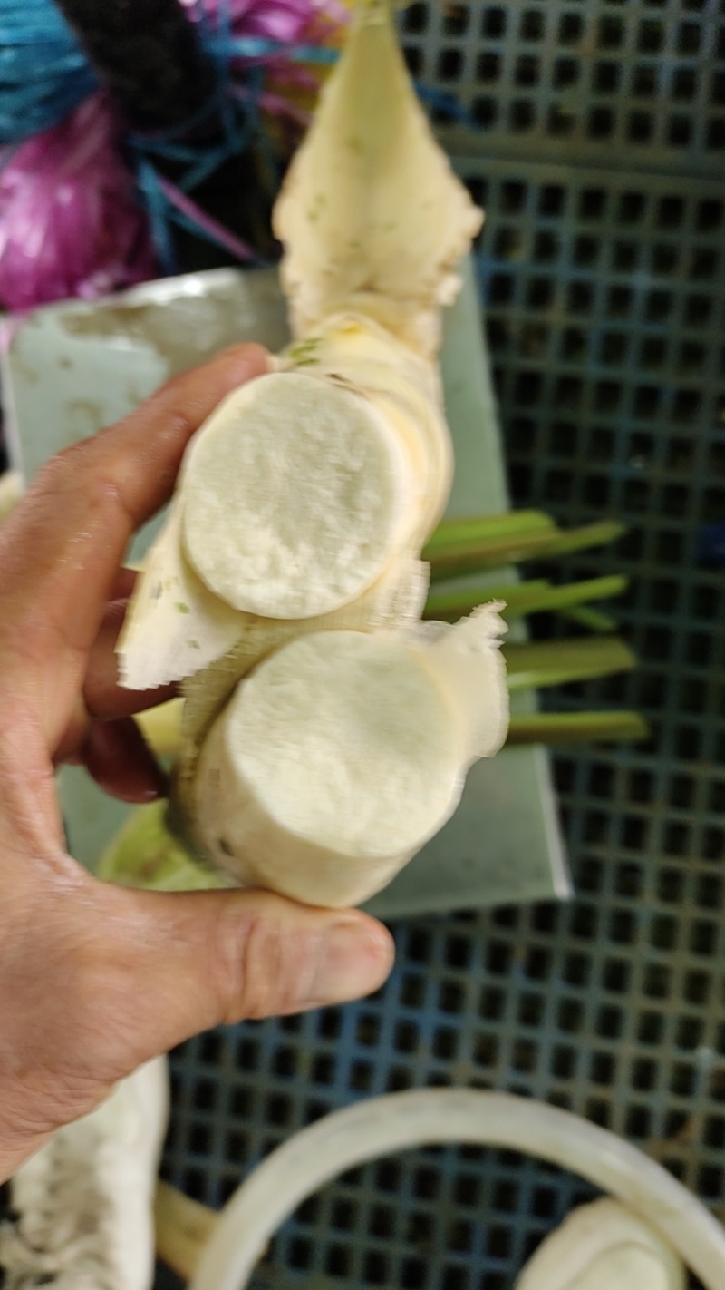 茭白一块钱一斤的电商食堂货大量有现货供应