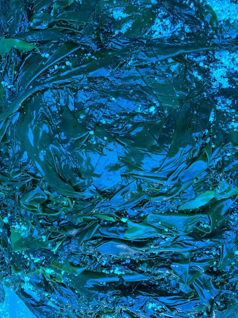 海带海带片大量有货产地直发品质保证