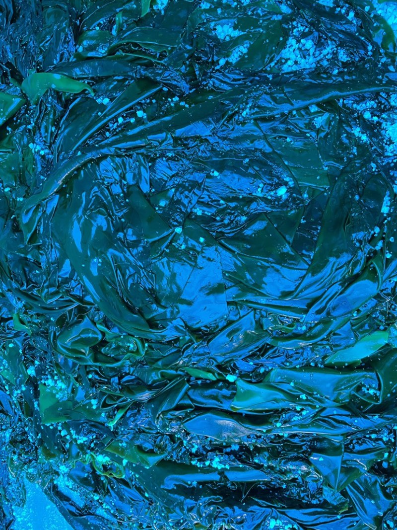 海带海带片大量有货产地直发品质保证