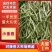 小金豆/四季豆/现摘现发/现货供应中/价格便宜/全国发货