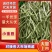 小金豆/四季豆/现摘现发/现货供应中/价格便宜/全国发货