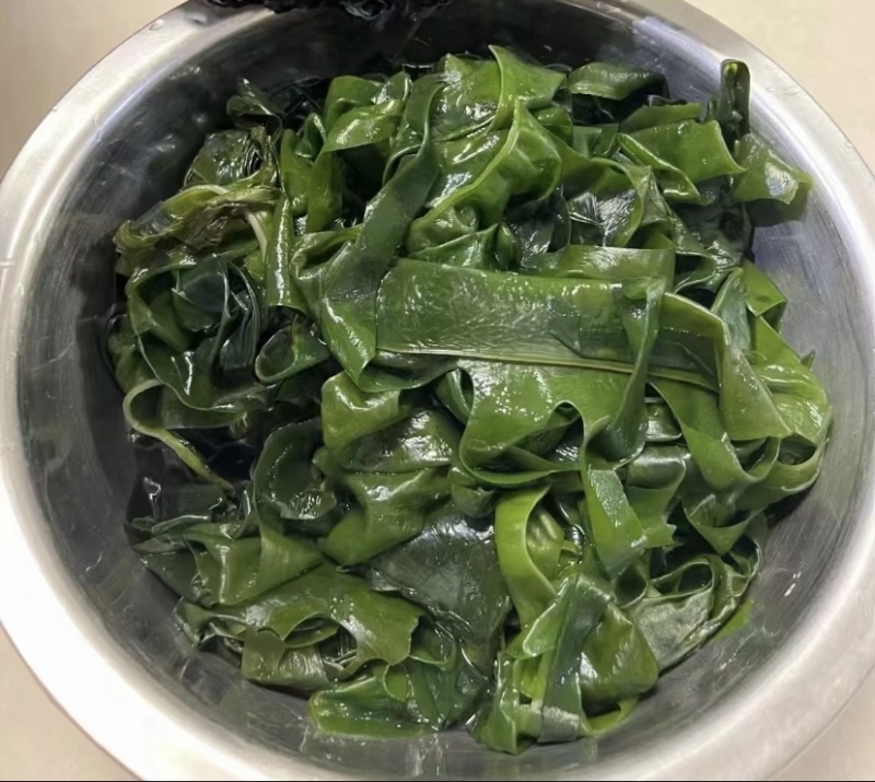 裙带菜整颗裙带菜大量有货产地直供欢迎咨询