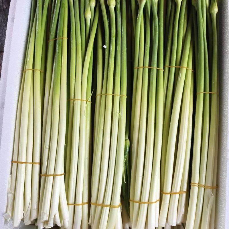 精品杂交i蒜苔，梗白颈绿，口感清脆香甜，自有基地，供货期