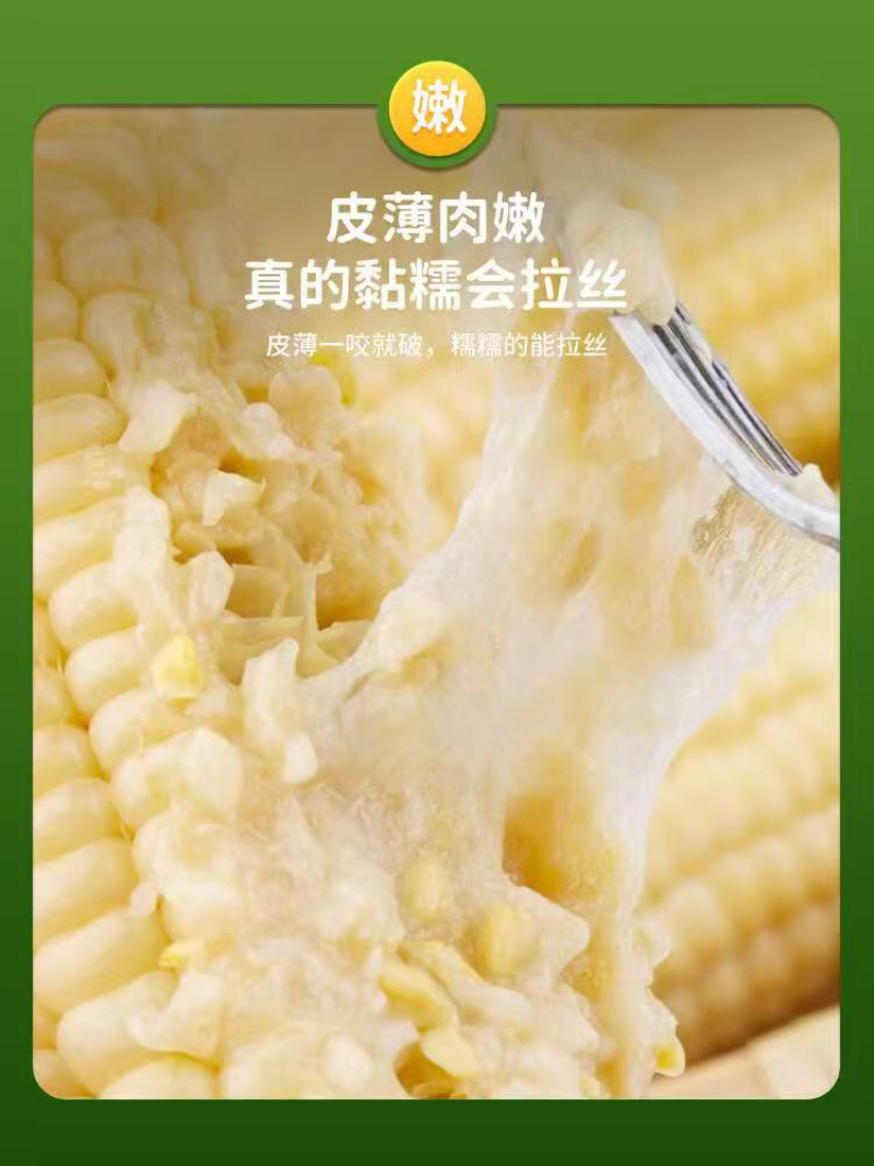 白糯玉米真空包装货源充足，产地直发欢迎客商来电