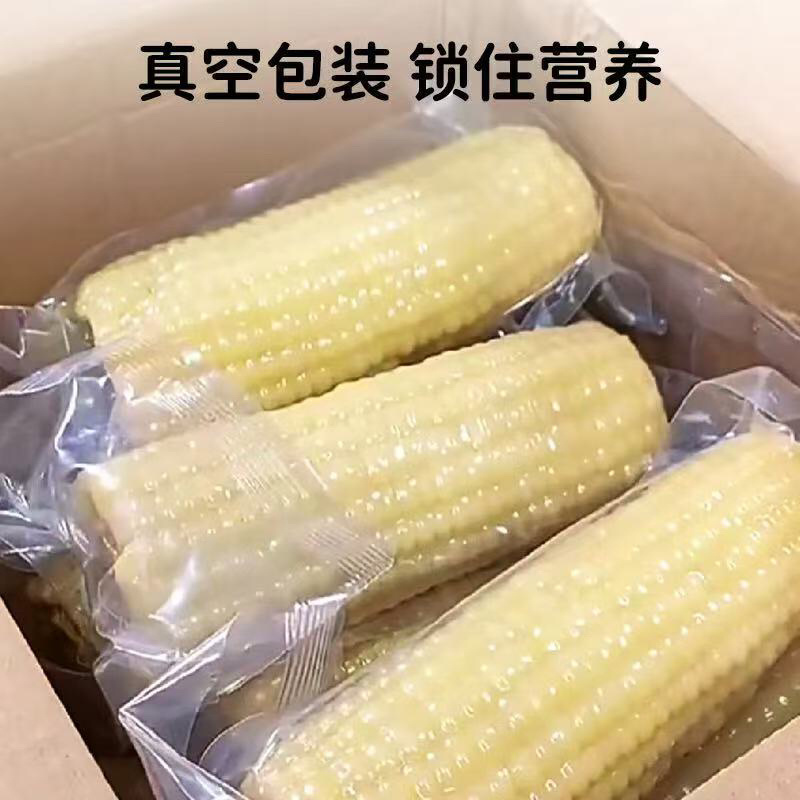 白糯玉米真空包装货源充足，产地直发欢迎客商来电