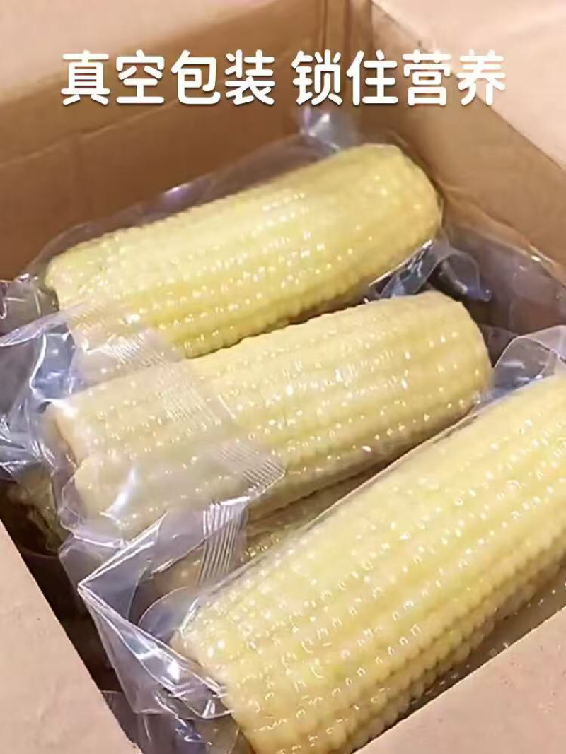 白糯玉米真空包装货源充足，产地直发欢迎客商来电