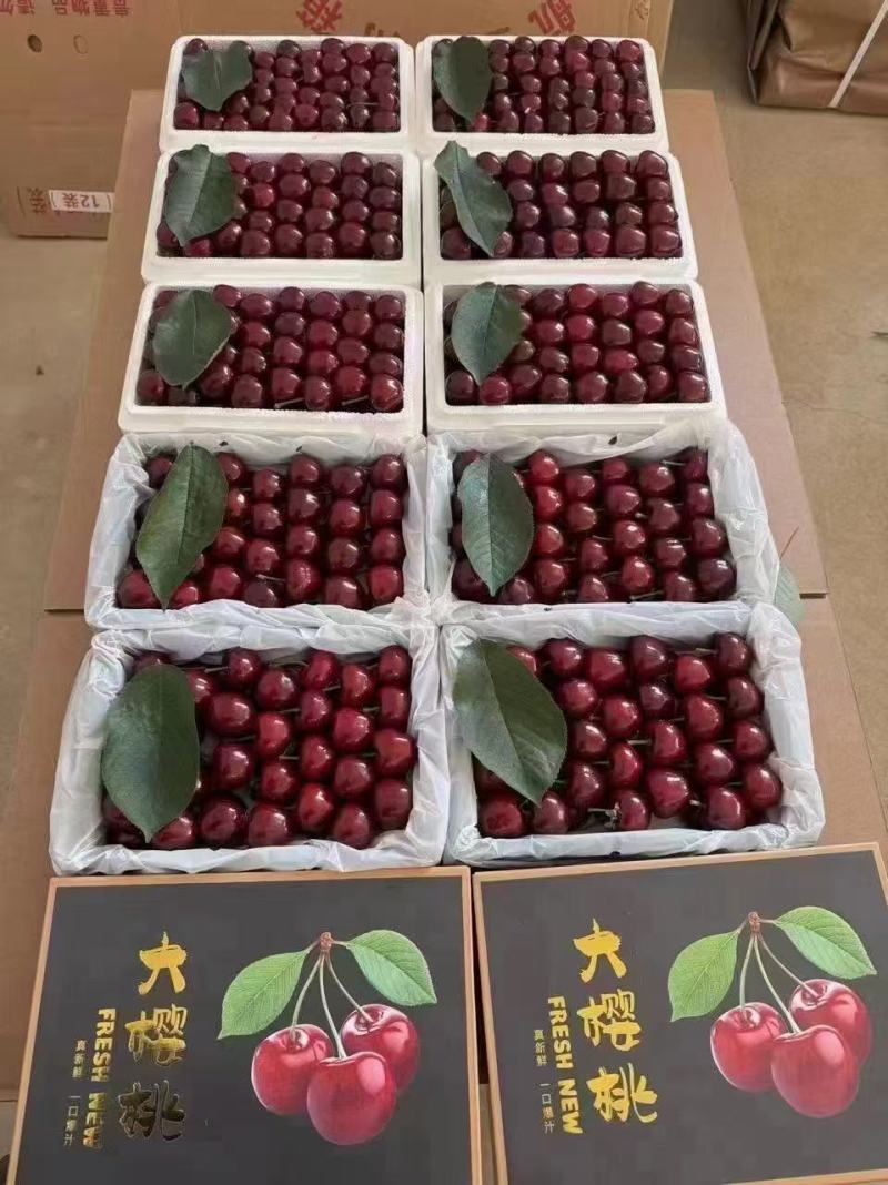 美早大樱桃【一件代发】产地直供电商一件代发日发万单