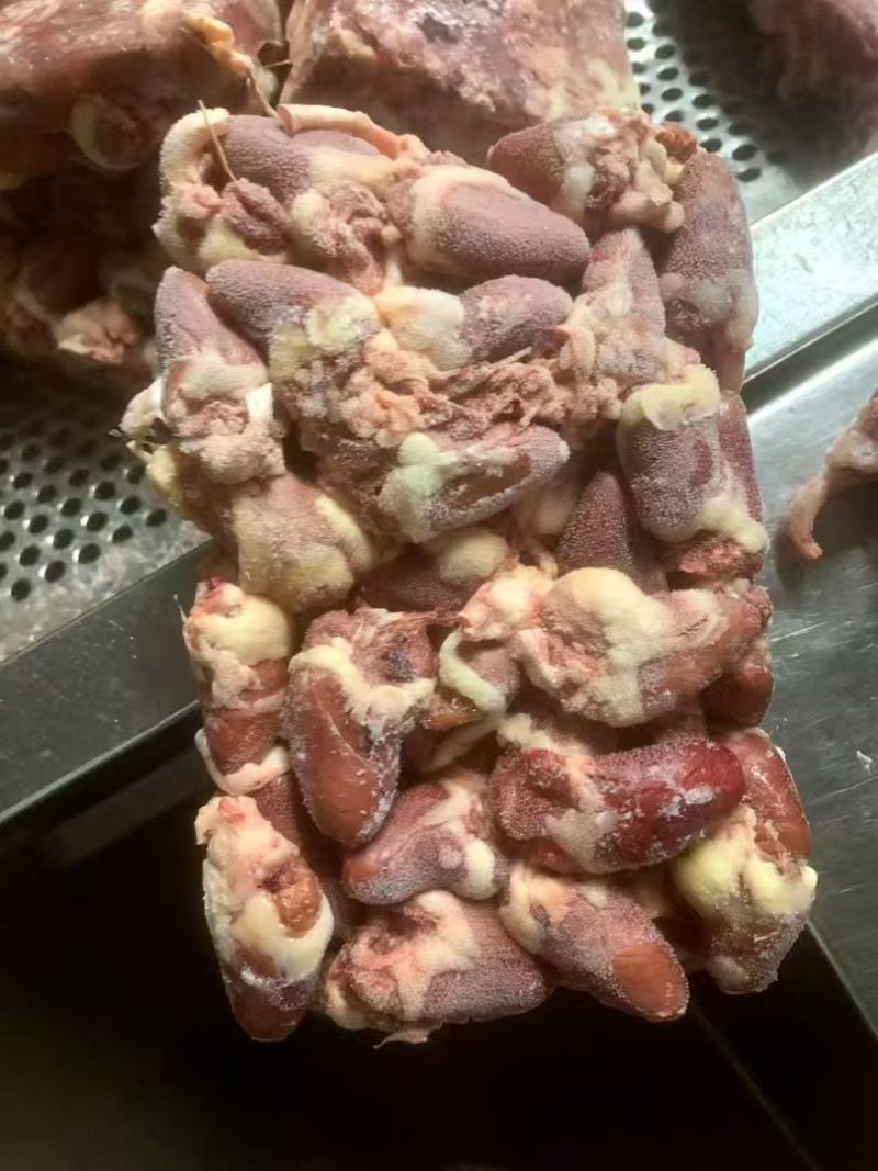肉鸡心1*10带69码