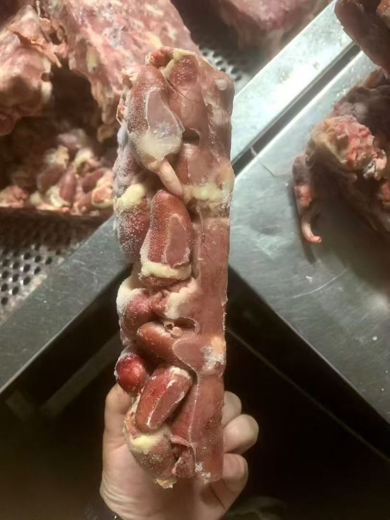 肉鸡心1*10带69码