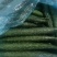 云南精品密刺黄瓜大量上市品质保证量大从优一手货源