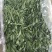 面条菜又叫山菜竹子菜(产地直供一手货源大棚种植)