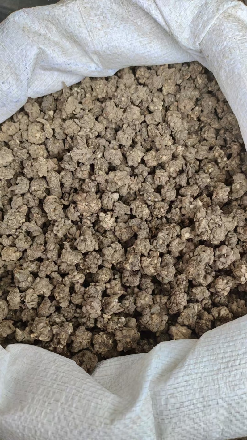 猫爪草，水洗两边，产地一手货源，现货，24小时内发货