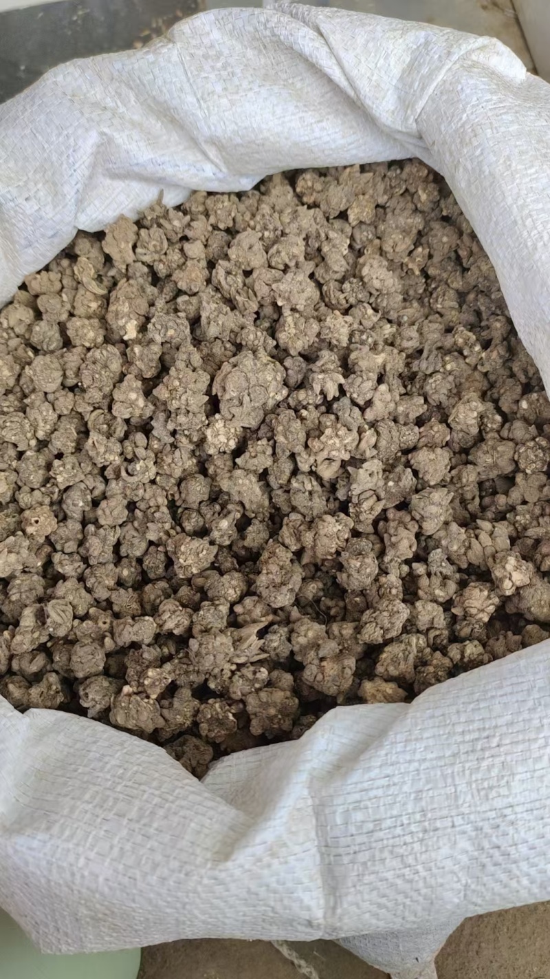 猫爪草，水洗两边，产地一手货源，现货，24小时内发货
