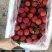 精品仙进奉荔枝产地直发一手货源量大从优全国可发