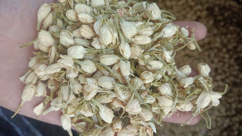 茉莉花无美颜，无滤镜，实物拍摄，放心下单