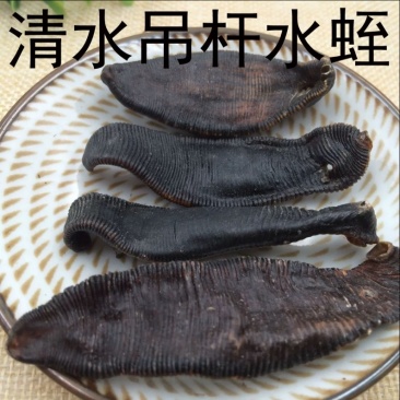 水蛭清水吊干水蛭养殖水蛭野生水蛭烫水蛭一手货源