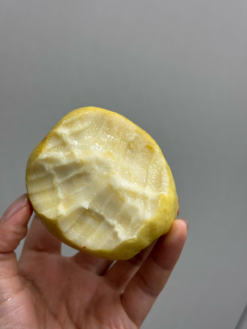 白心芭乐白心番石榴福建特产量大价优运输便利欢迎电联