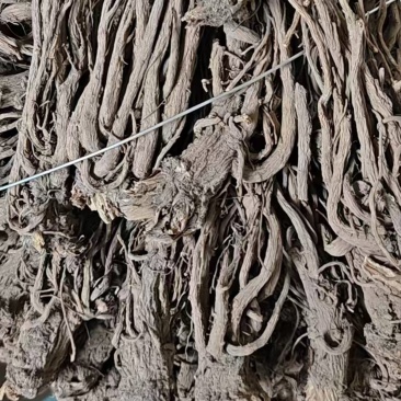 当归，自家种植，一手货源，欢迎各位老板咨询采购