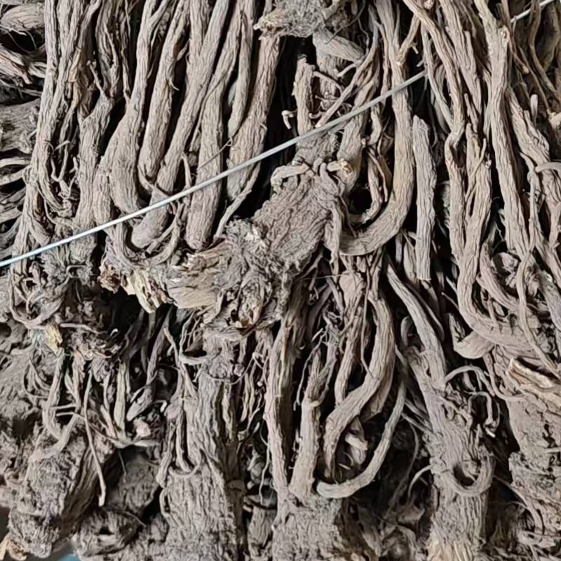 当归，自家种植，一手货源，欢迎各位老板咨询采购