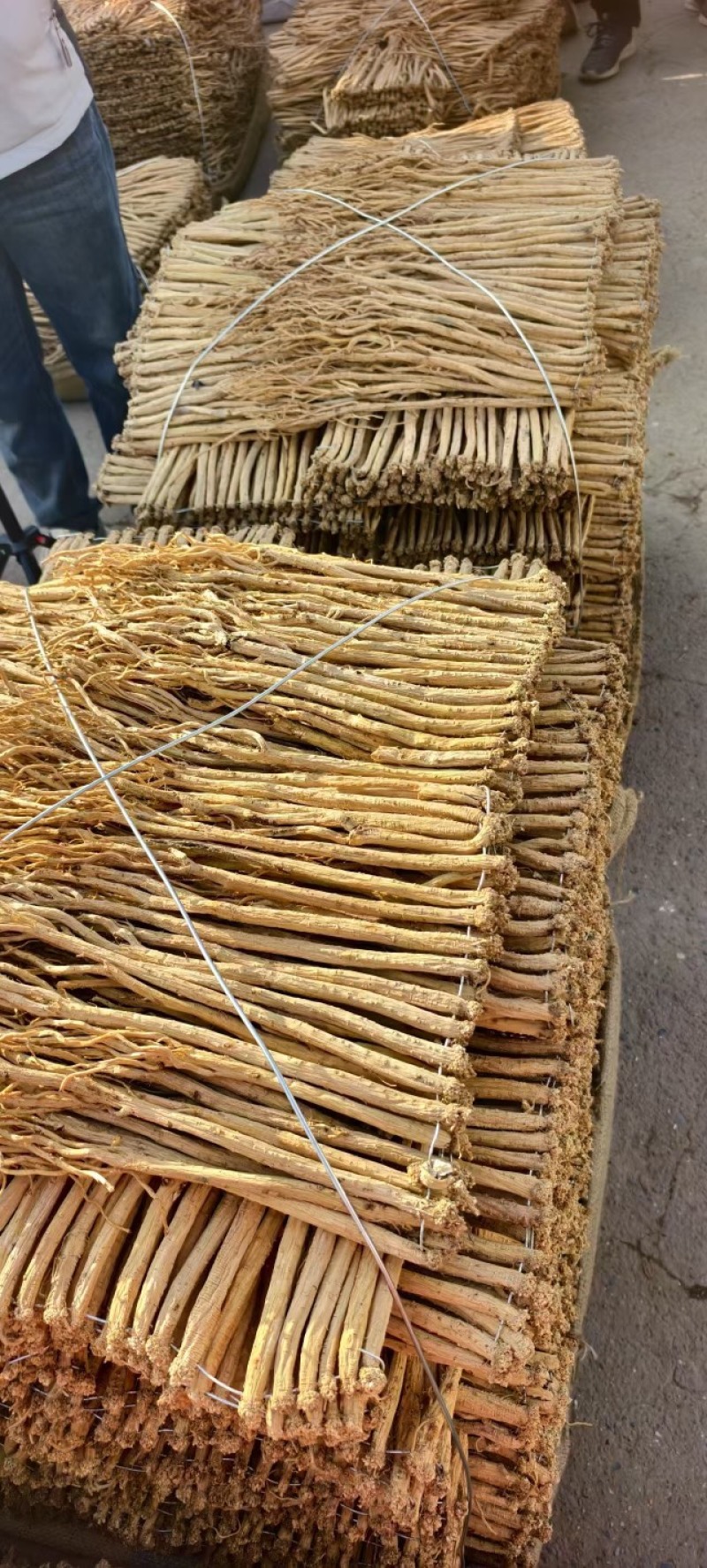 当归，自家种植，一手货源，欢迎各位老板咨询采购