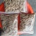 精品涪城麦冬价格美丽量大从优基地直发对接全国诚信合作