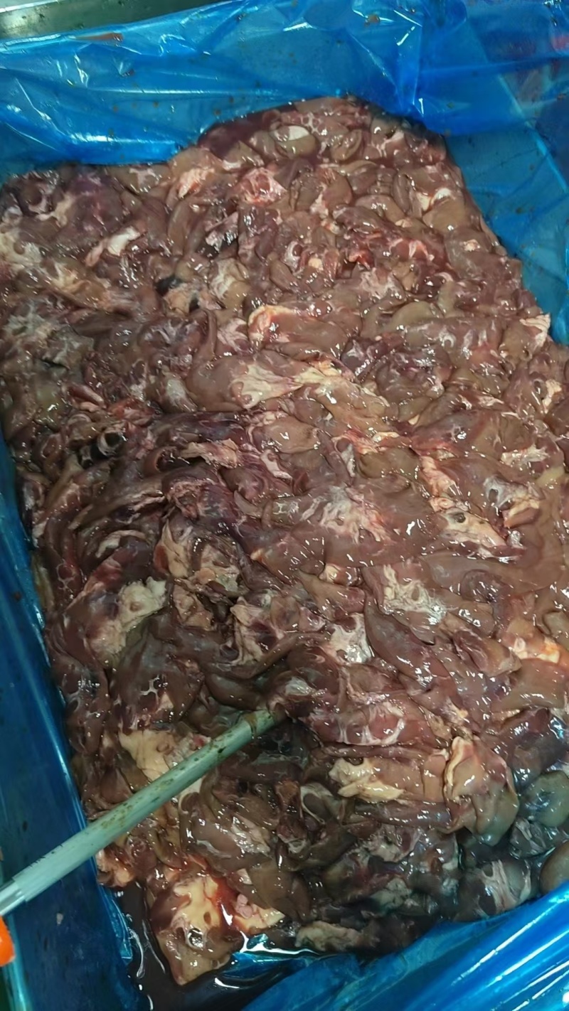 猪腰下脚料，优质水产饲料，甲鱼，黑鱼的好饲料，价格合理