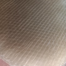 红薯粉皮