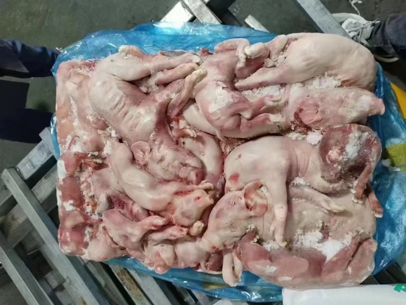 胎猪。一手货源，纯干无水，常年供应，价格合理优质水产饲料