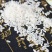 【推荐】黑龙江稻花香大米自家稻谷加工供应市场量大价优