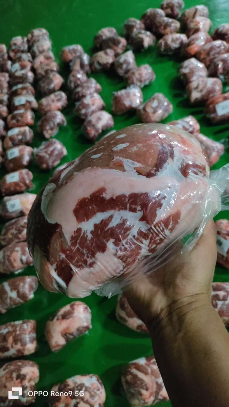 【骆驼肉】当地草原的骆驼肉！新鲜速冻卷包都有随机，量大优