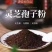 长白山灵芝孢子粉自产自销品质保证本地