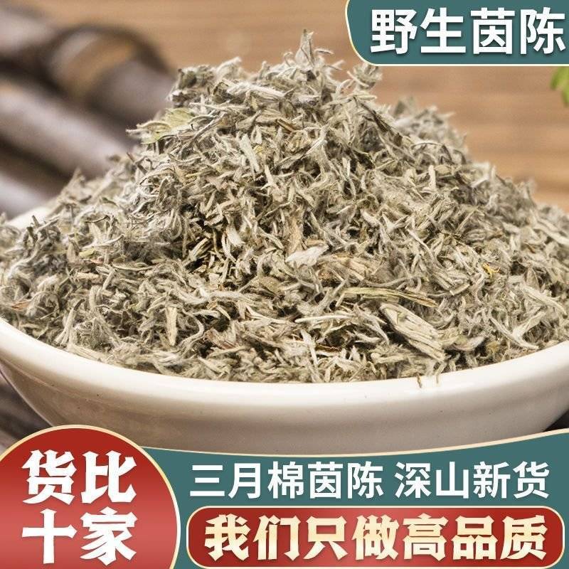 茵陈野生茵陈