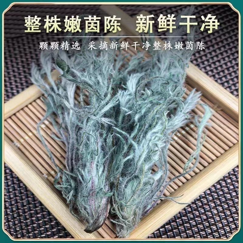 茵陈野生茵陈