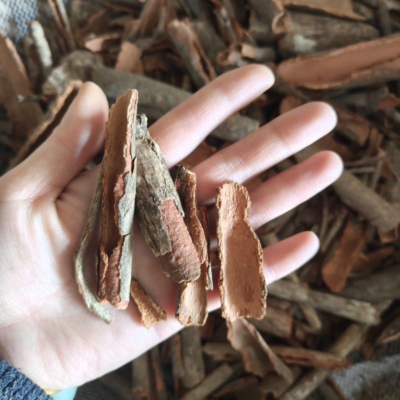 地枫皮追地风祥泰药材栈中药材批发零售实物拍摄