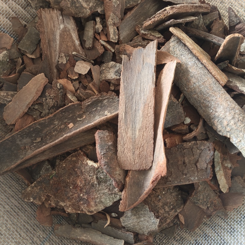 地枫皮追地风祥泰药材栈中药材批发零售实物拍摄