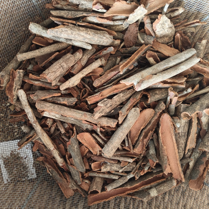 地枫皮追地风祥泰药材栈中药材批发零售实物拍摄