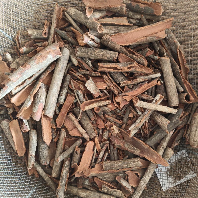 地枫皮追地风祥泰药材栈中药材批发零售实物拍摄