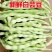 山东白豆角白芸豆白大架白不老山东农家扁豆现摘现发新鲜蔬菜