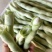 山东白豆角白芸豆白大架白不老山东农家扁豆现摘现发新鲜蔬菜