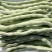 山东白豆角白芸豆白大架白不老山东农家扁豆现摘现发新鲜蔬菜