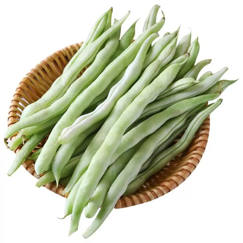 山东白豆角白芸豆白大架白不老山东农家扁豆现摘现发新鲜蔬菜