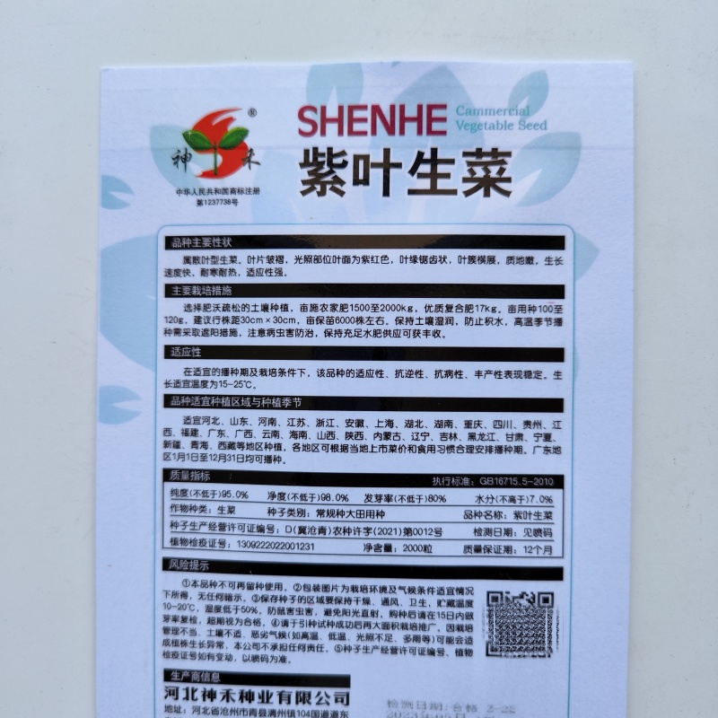 紫叶生菜种子耐热耐寒散叶生菜籽四季小青菜种籽易种四季蔬菜