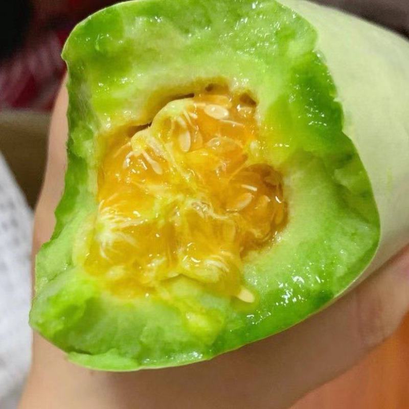 精品河南安阳博洋6大量供应，货源充足，量大从优，新鲜采摘