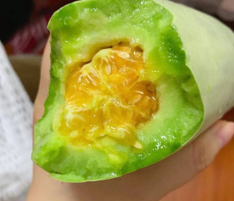 精品河南安阳博洋6大量供应，货源充足，量大从优，新鲜采摘